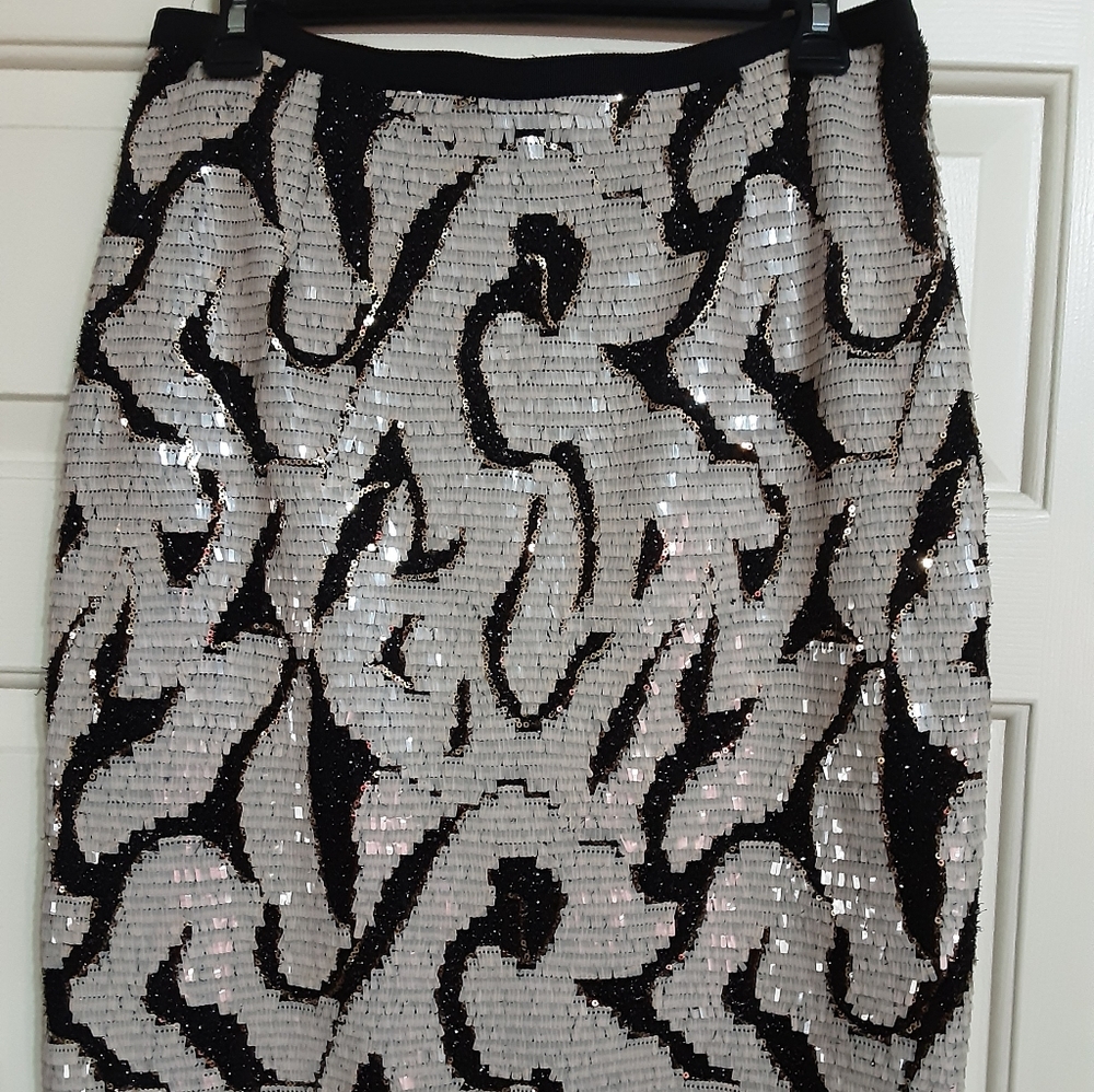 Sequin Skirt